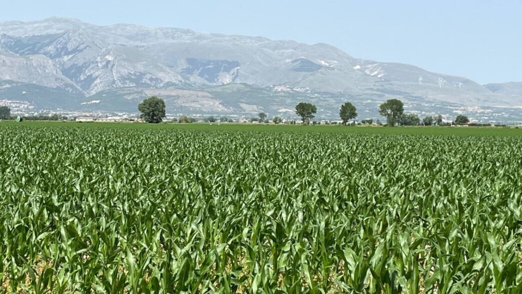 Calo delle imprese agricole in Abruzzo: la Cia chiede azioni urgenti per il sostegno del settore