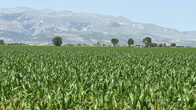 Calo delle imprese agricole in Abruzzo: la Cia chiede azioni urgenti per il sostegno del settore