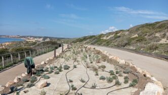 Completati i lavori di accesso all'area archeologica di Tharros: una nuova vita per San Giovanni di Sinis