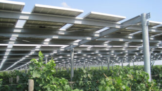 L'agricoltura italiana sempre più green: l'11% della produzione di energia rinnovabile elettrica