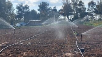 Nuove risorse per gli agricoltori della Nurra: riutilizzo delle acque reflue per l'irrigazione